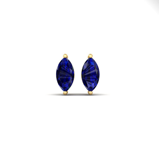 True Elegant 1.0Ct Blue Sapphire Stud Earrings